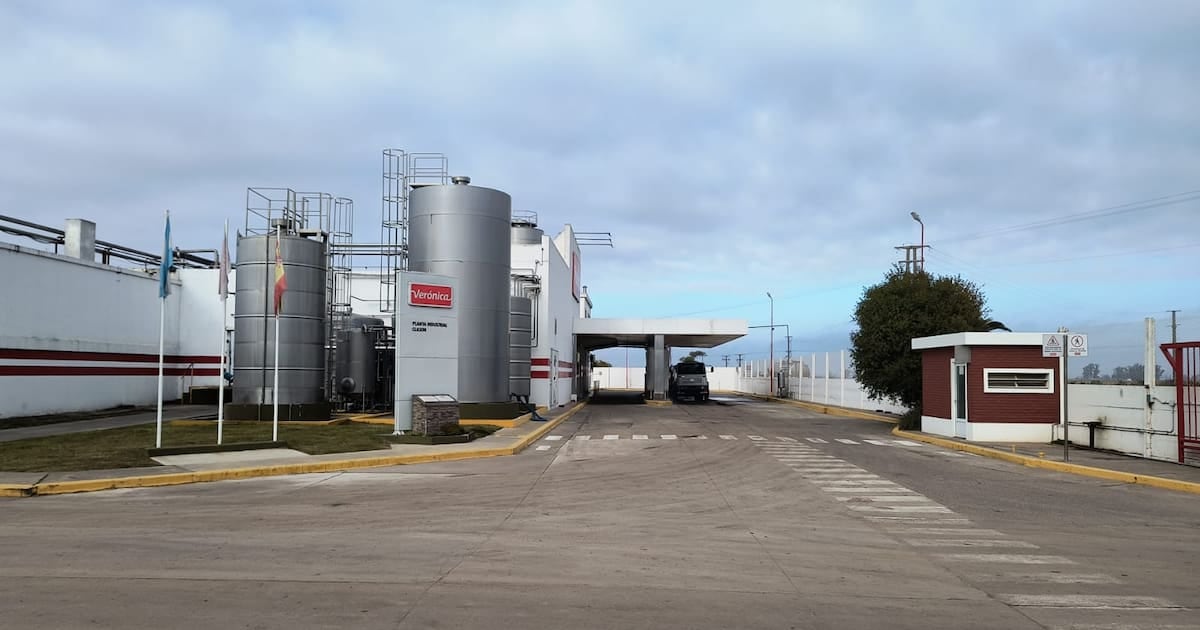 La láctea Verónica cede dos de sus tres plantas por 15,5 millones de dólares para intentar ordenar un pasivo de casi 120.000 millones de pesos