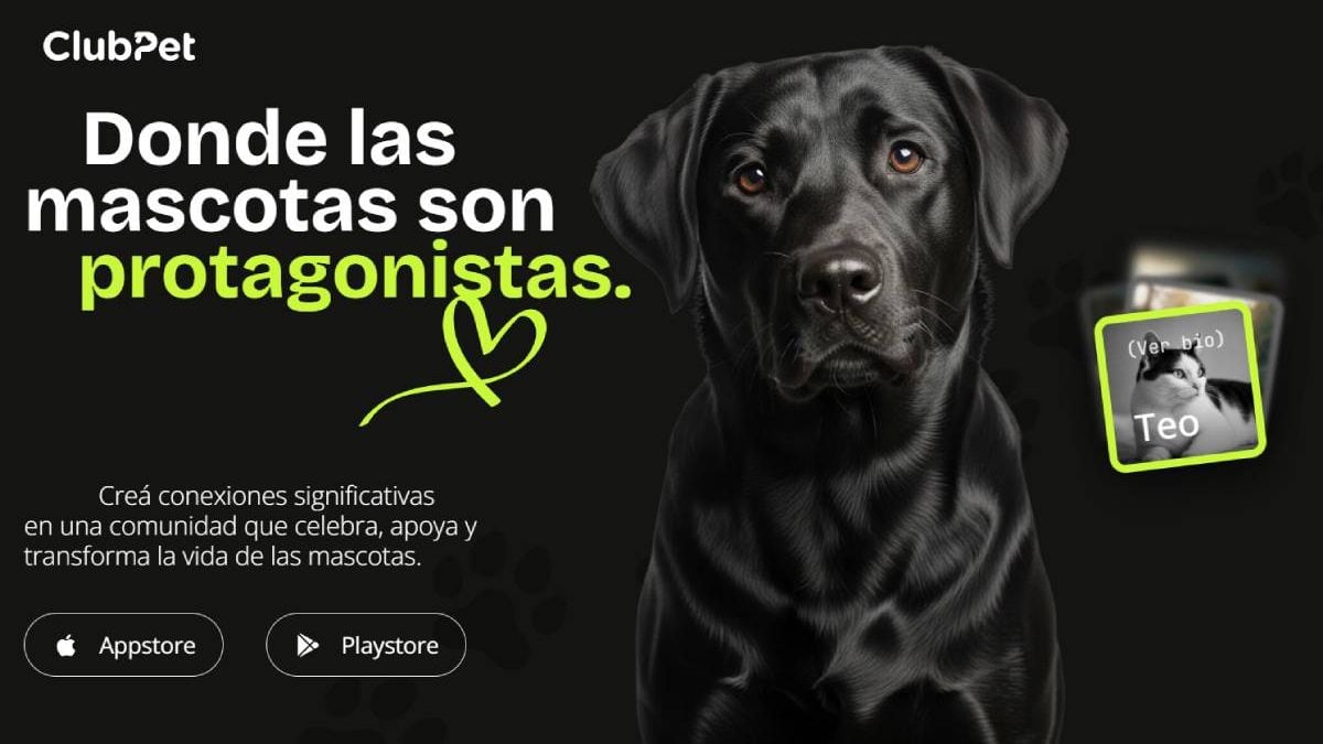 Una cita en el Club Pacífico para abrirle la puerta a un perro o un gato sin hogar