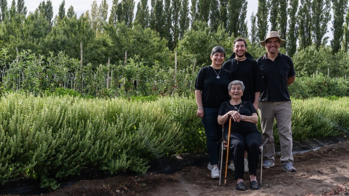 La salsa de la abuela Julia que viajó del papel a la góndola