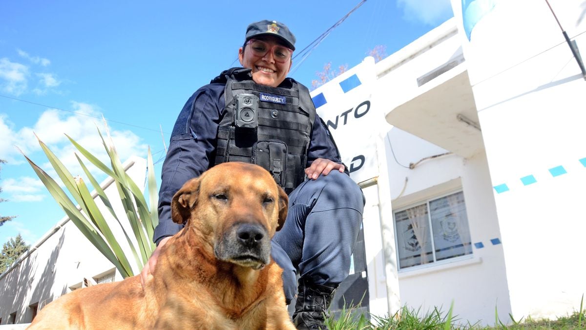 Puchero, el perro que adoptó a la Policía de Neuquén y ahora patrulla en bicicleta con ellos