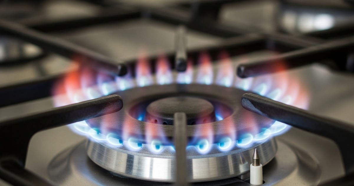 En el AMBA, pagar la luz sin subsidio cuesta más del doble que con bonificación
