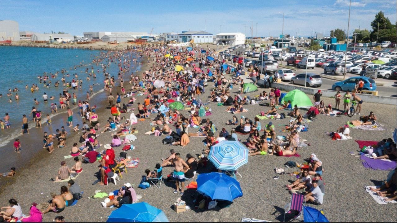 Comodoro Rivadavia se prepara para una temporada inédita de ballenas sei a partir de febrero de 2027