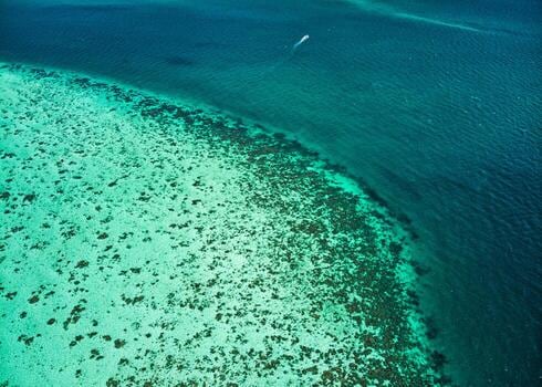 San Pedro, el balneario beliceño que se cruza en avioneta o en ferry y propone excursiones al arrecife más grande del Caribe