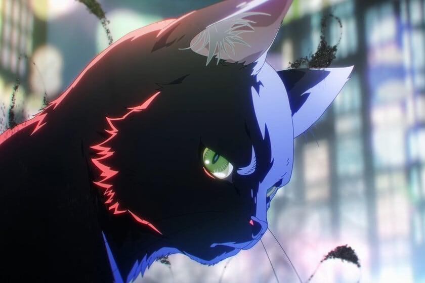 Black Torch: cuando un chico que habla con animales y un espíritu con cara de gato negro se vuelven uno solo