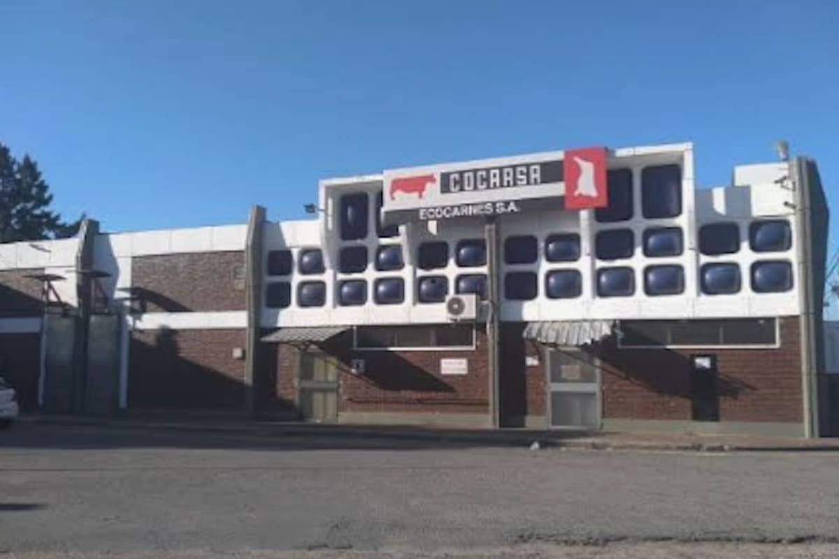 Crisis en Ecocarnes: trabajadores de San Fernando llevan casi un año sin cobertura médica y piden blindar los salarios frente al ajuste