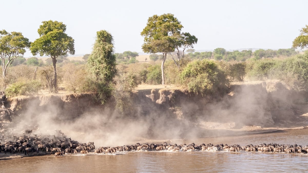 Entre baobabs, cráteres y aldeas: una semana a cielo abierto en el norte de Tanzania