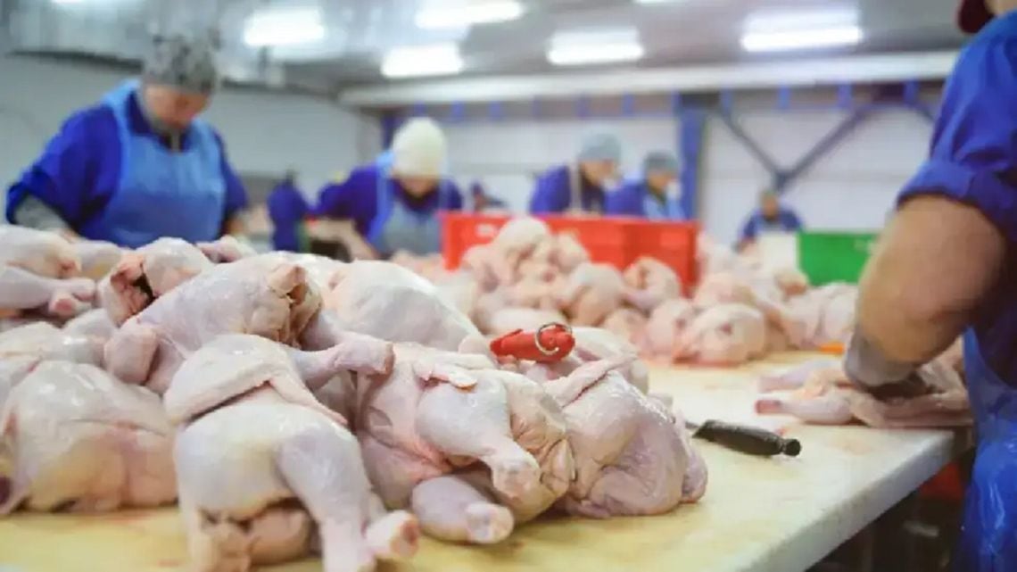 Por primera vez, el kilo de pollo se impuso al de carne vacuna en la mesa argentina