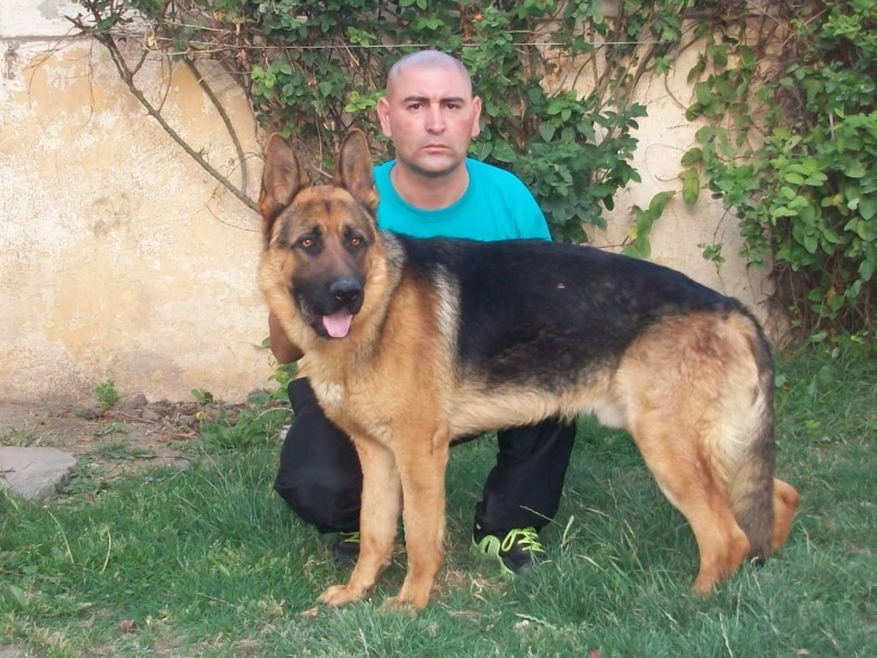 Juicio contra el adiestrador Marcos Herrero: la sombra de las pruebas con perros en el caso Araceli Fulles