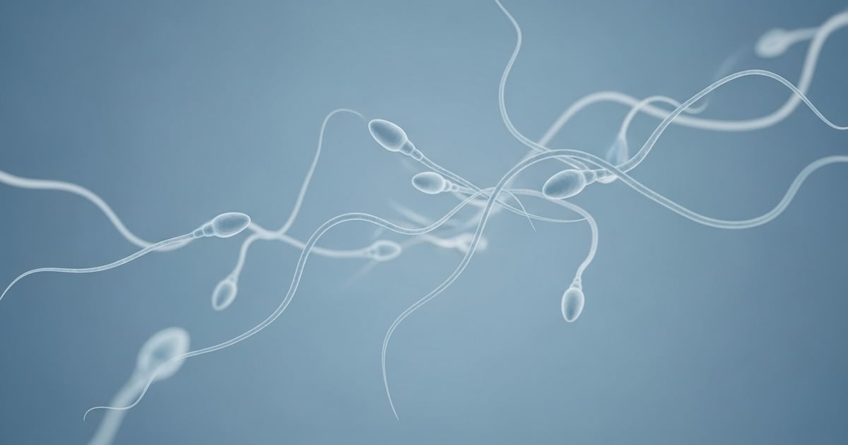 A los 19 años, volvió a creer en la paternidad: el primer autotrasplante testicular del Reino Unido
