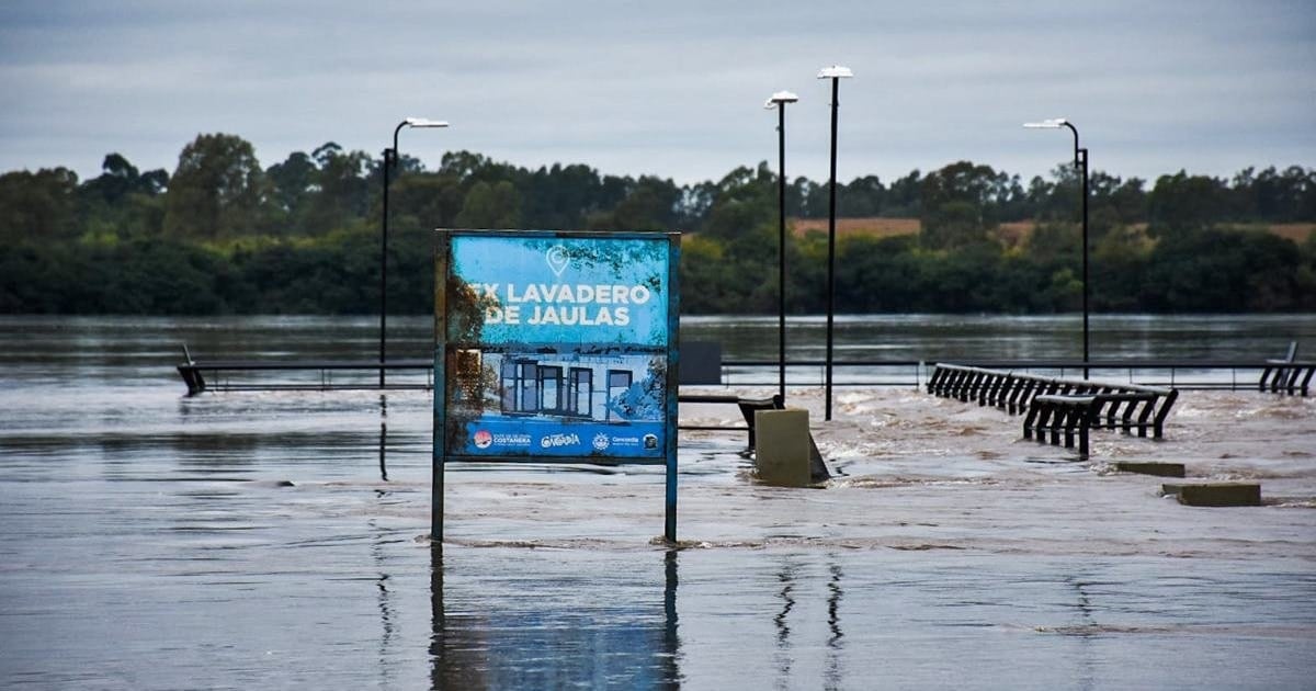 Lluvias sobre el Litoral: la carne podría encarecerse hasta 10% antes de las Fiestas y la energía tiende a abaratarse
