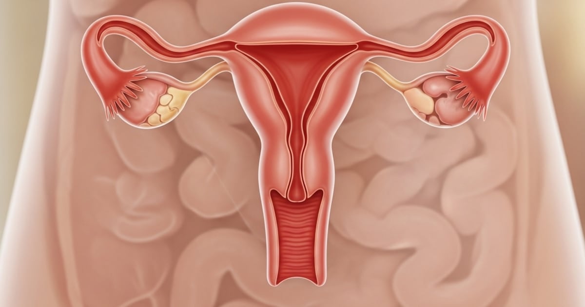 Un estudio con 5.812 proteínas revela que el ovario no se apaga después de la menopausia