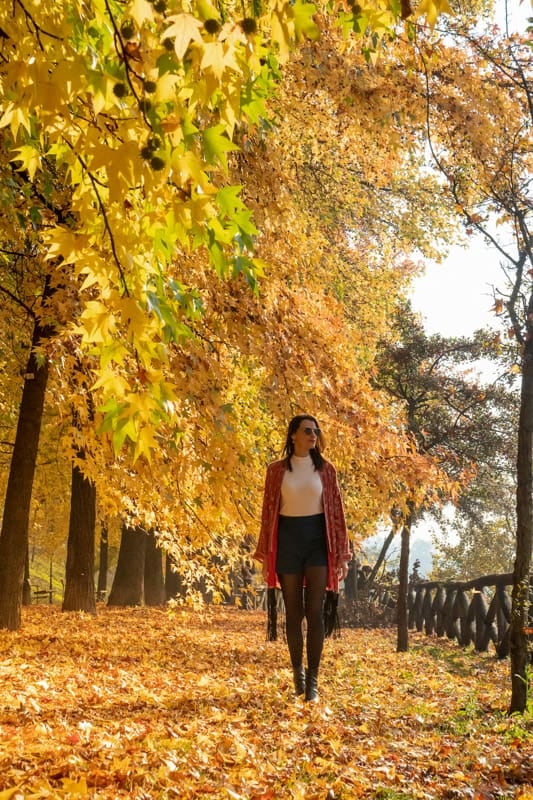 El otoño cambia el mapa europeo: doce capitales con planes para cada clima