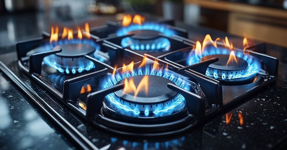 El Gobierno recorta el subsidio al gas y deja a 3,35 millones de hogares sin descuento